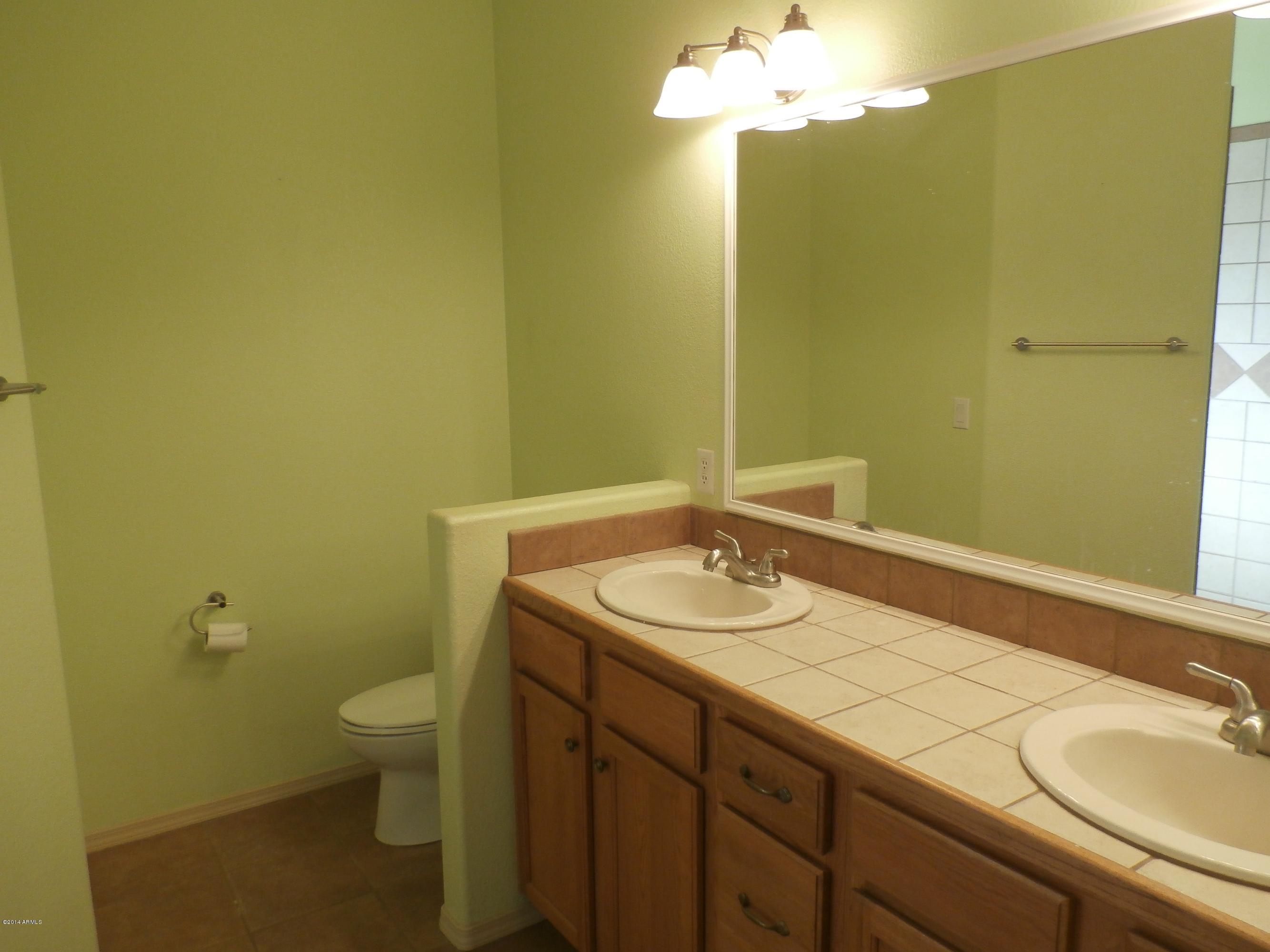 375 South Cedar Mill Road Star Valley, AZ 85541 - Photo 9 of 18 Master Bath