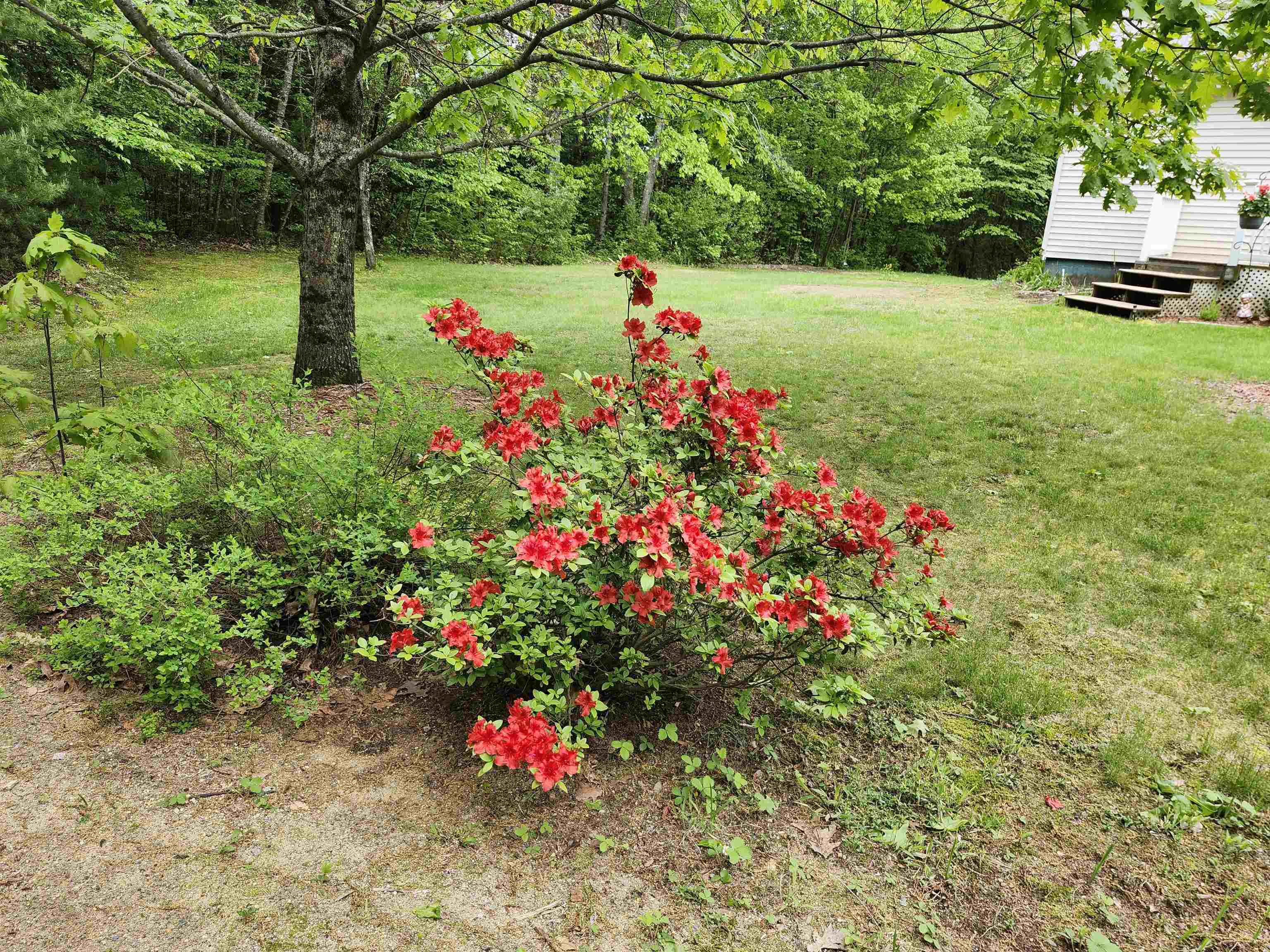 97 Ayers Road Canterbury, NH 03224 - Photo 41 of 41