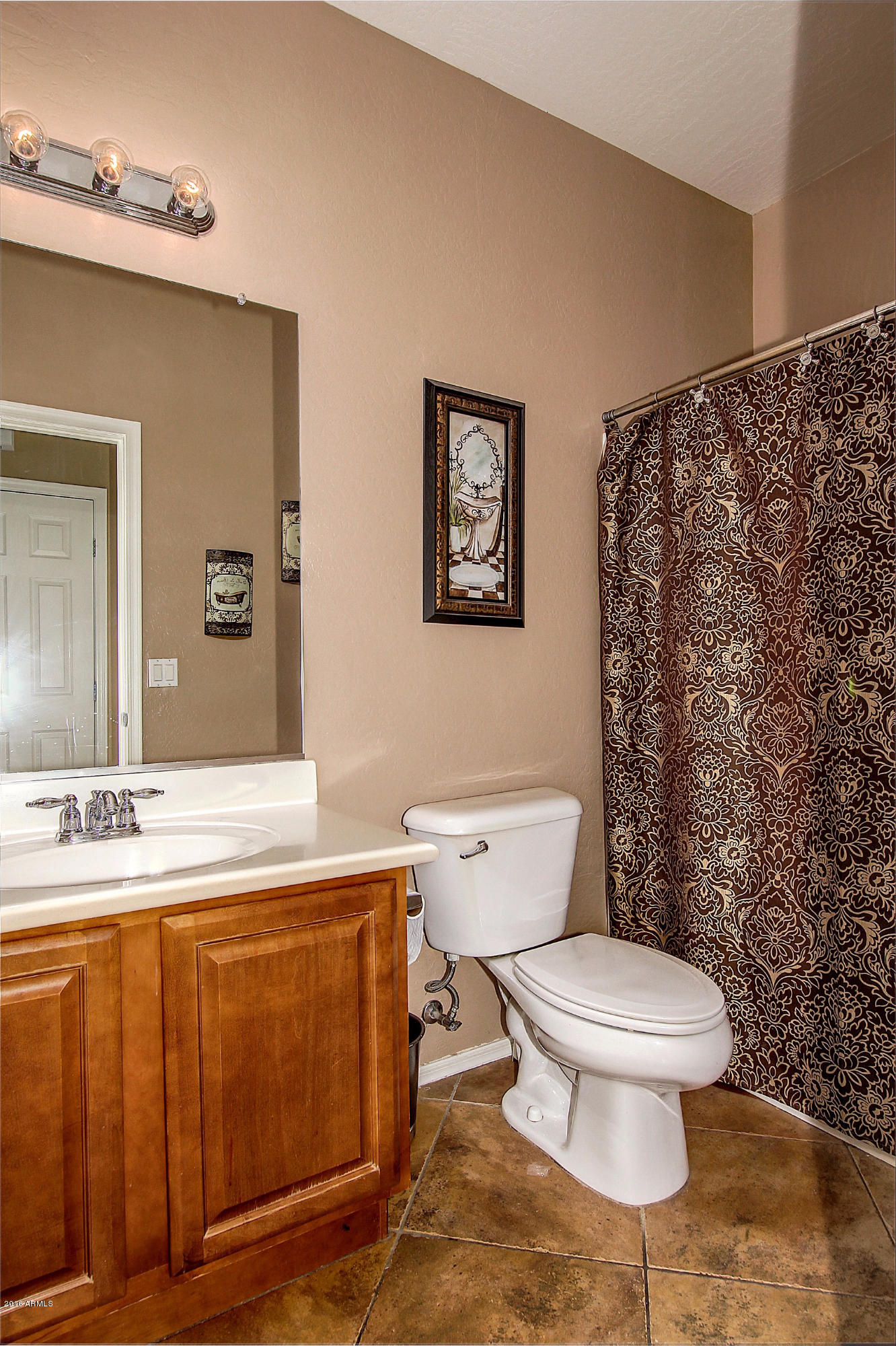 1344 East Walnut Road Gilbert, AZ 85298 - Photo 17 of 43 downstiars full bathroom