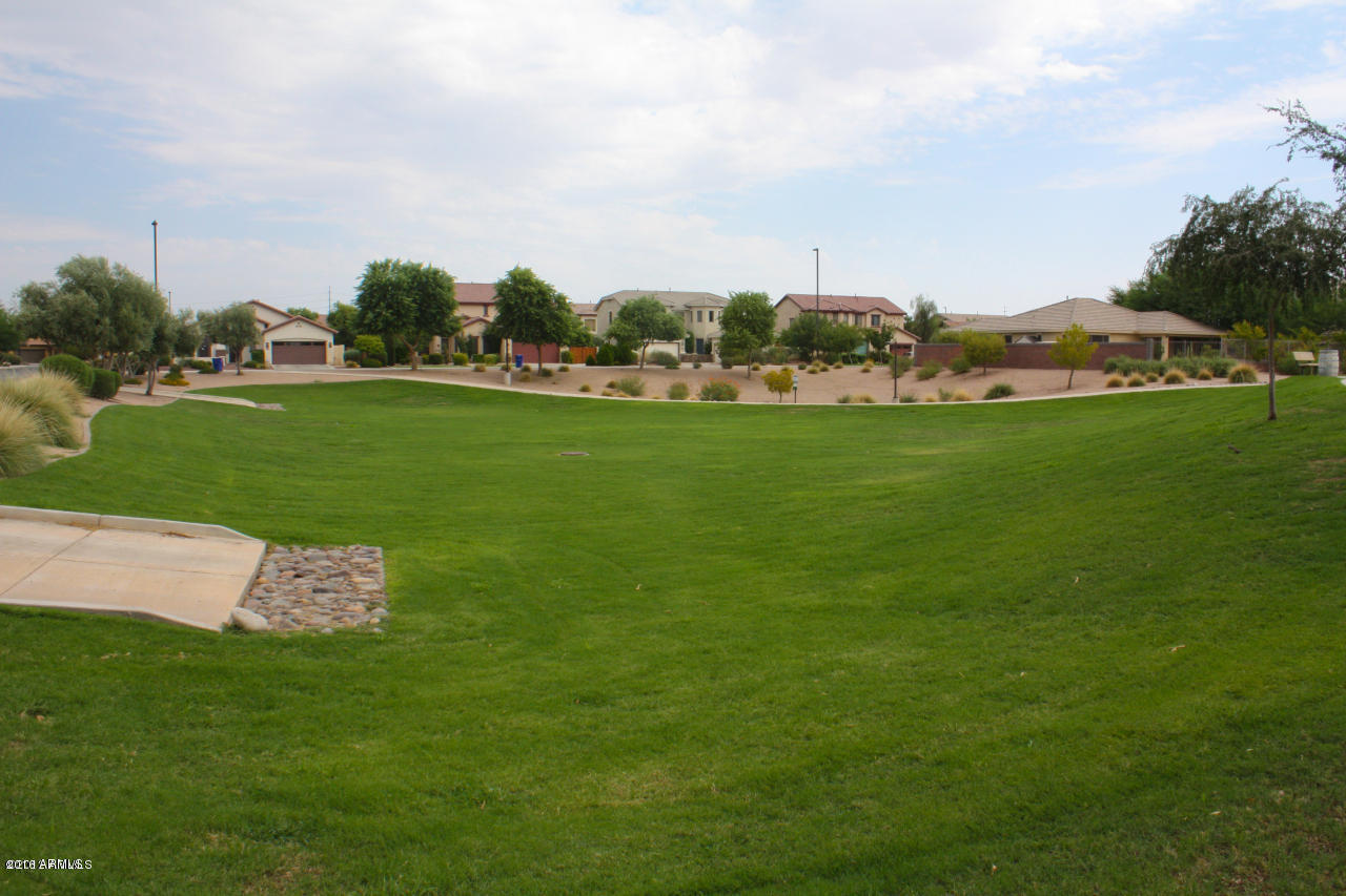 1344 East Walnut Road Gilbert, AZ 85298 - Photo 41 of 43 community park2