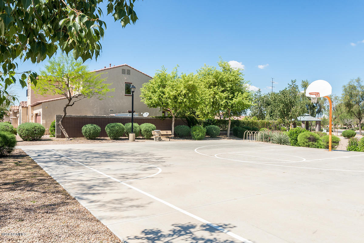 1344 East Walnut Road Gilbert, AZ 85298 - Photo 42 of 43 community basketball court