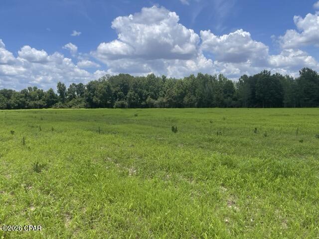 0 Peanut Road Graceville, FL 32440 - Photo 7 of 13
