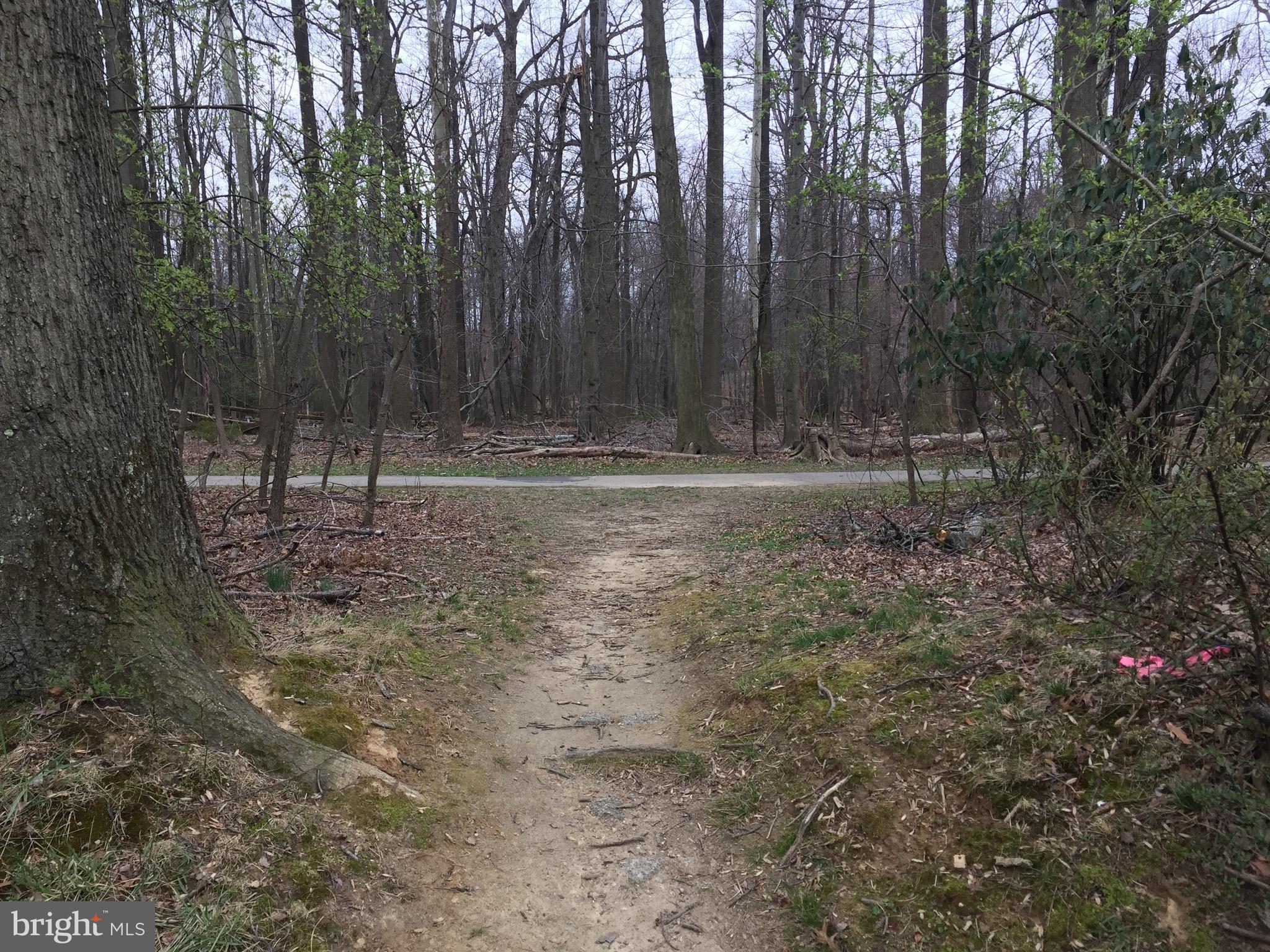 11511 Yates Street Silver Spring, MD 20902 - Photo 26 of 27 Walk to Wheaton Regional. Path is at street's end.