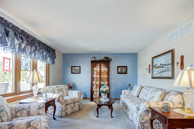705 Plank Road New Lenox, IL 60451 - Photo 6 of 41