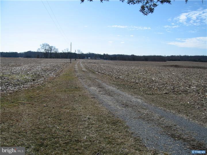 1743 Hourglass Road Hartly, DE 19953 - Photo 2 of 12