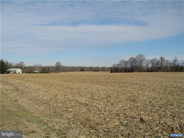 1743 Hourglass Road Hartly, DE 19953 - Photo 11 of 12