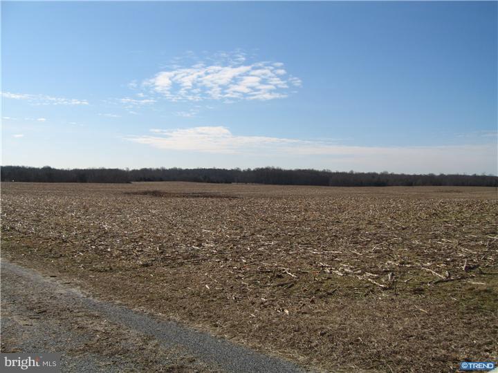 1743 Hourglass Road Hartly, DE 19953 - Photo 3 of 12