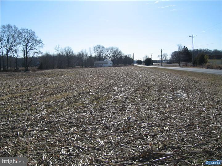 1743 Hourglass Road Hartly, DE 19953 - Photo 4 of 12