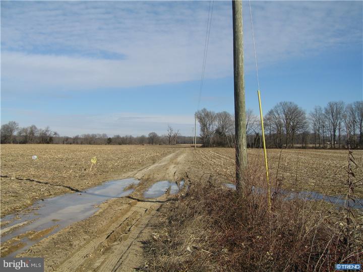 1743 Hourglass Road Hartly, DE 19953 - Photo 5 of 12