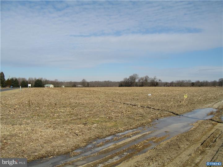 1743 Hourglass Road Hartly, DE 19953 - Photo 6 of 12