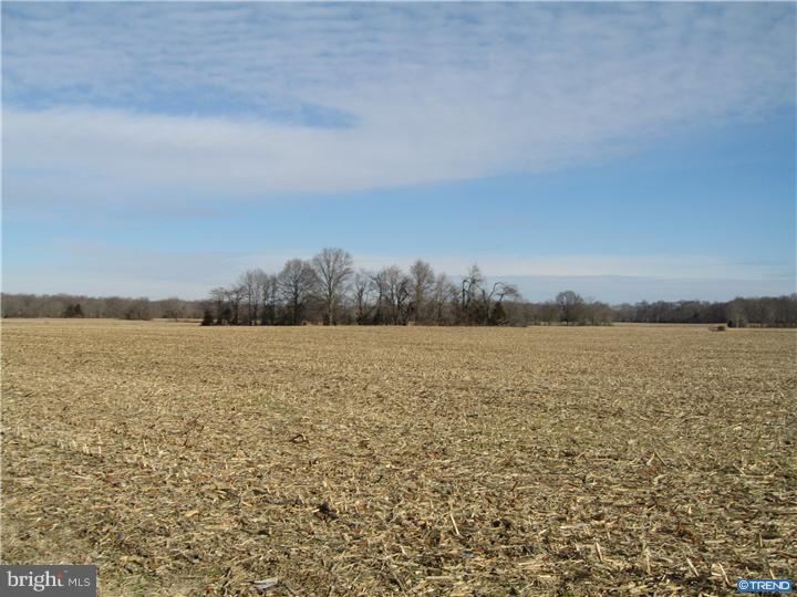 1743 Hourglass Road Hartly, DE 19953 - Photo 7 of 12