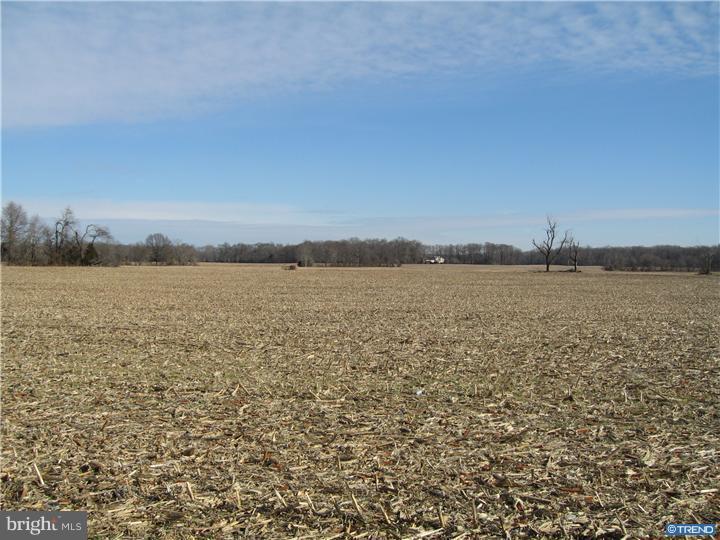 1743 Hourglass Road Hartly, DE 19953 - Photo 8 of 12