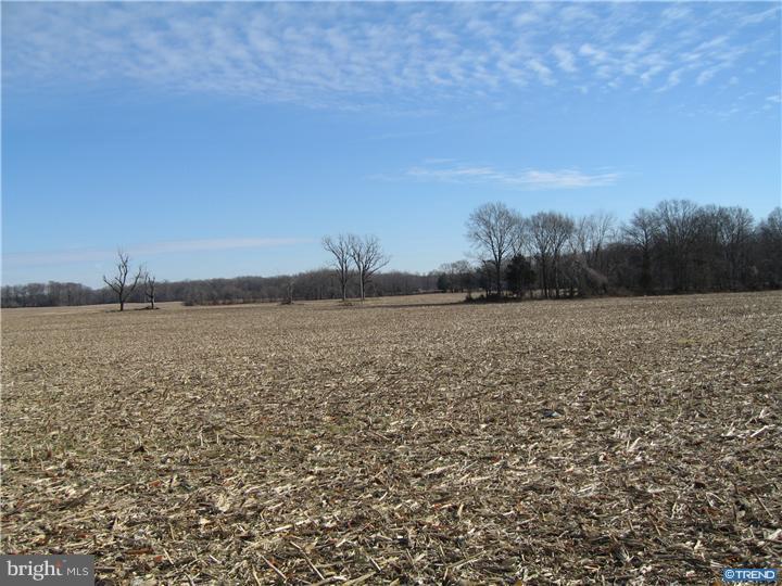 1743 Hourglass Road Hartly, DE 19953 - Photo 9 of 12