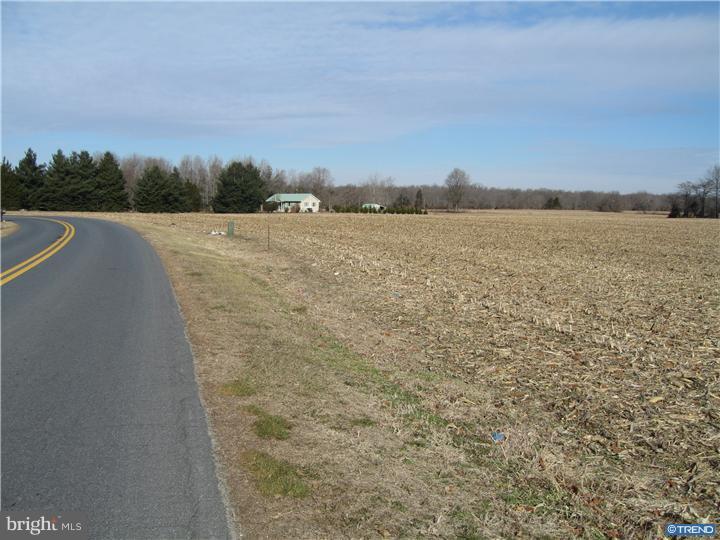 1743 Hourglass Road Hartly, DE 19953 - Photo 10 of 12