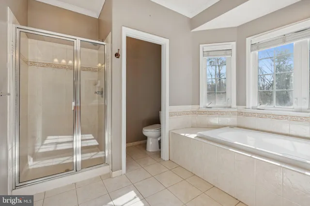 a bathroom with a tub shower and toilet
