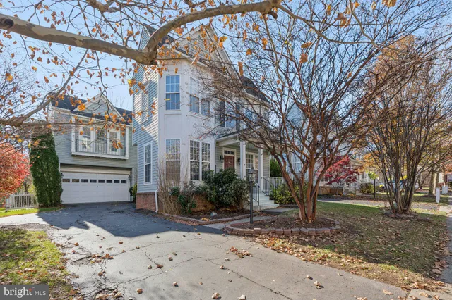 a view of a street with a tree in front