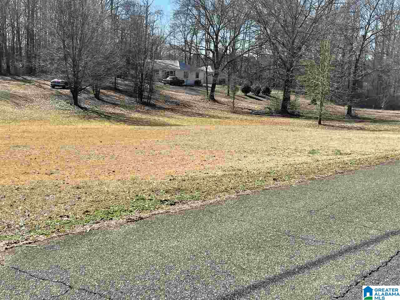 1499 Campbell Loop Road, Unit 1499 CAMPBELL LOOP RD Mount Olive, AL 35117 - Photo 1 of 3
