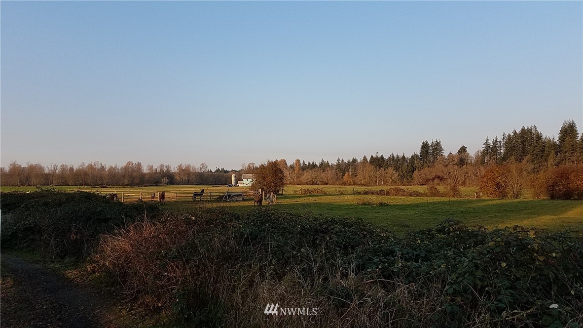 689 Monte Elma Road Montesano, WA 98563 - Photo 10 of 10 Gallery Image 10