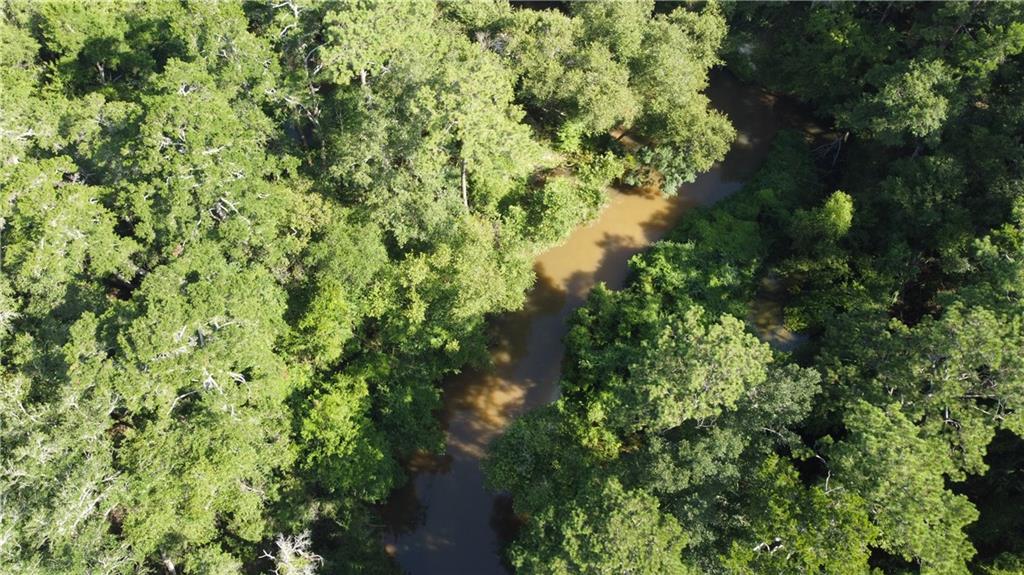 0 Albert Thompson Road Folsom, LA 70437 - Photo 3 of 8