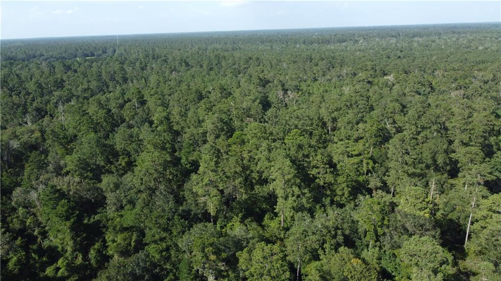 0 Albert Thompson Road Folsom, LA 70437 - Photo 5 of 8