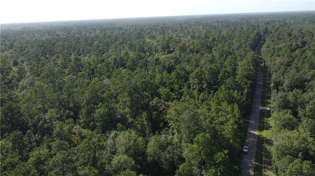 0 Albert Thompson Road Folsom, LA 70437 - Photo 6 of 8