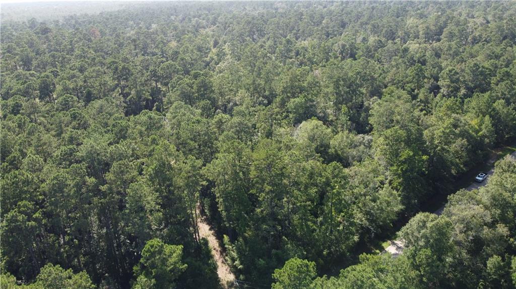 0 Albert Thompson Road Folsom, LA 70437 - Photo 7 of 8