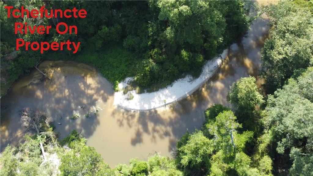 0 Albert Thompson Road Folsom, LA 70437 - Photo 8 of 8