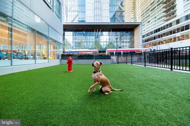 a garden view with a sitting space