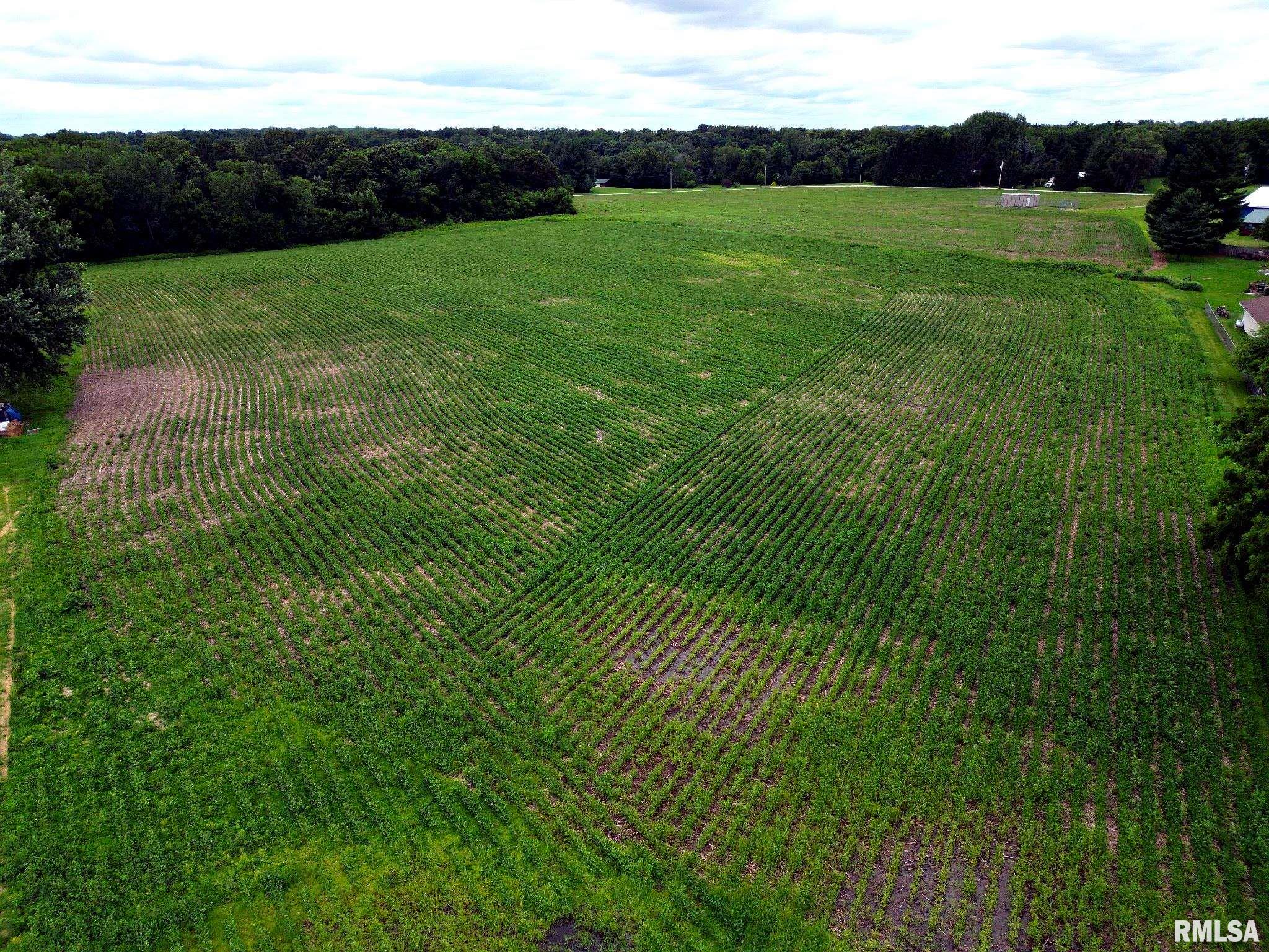 0 North Jackson Road Canton, IL 61520 - Photo 2 of 18