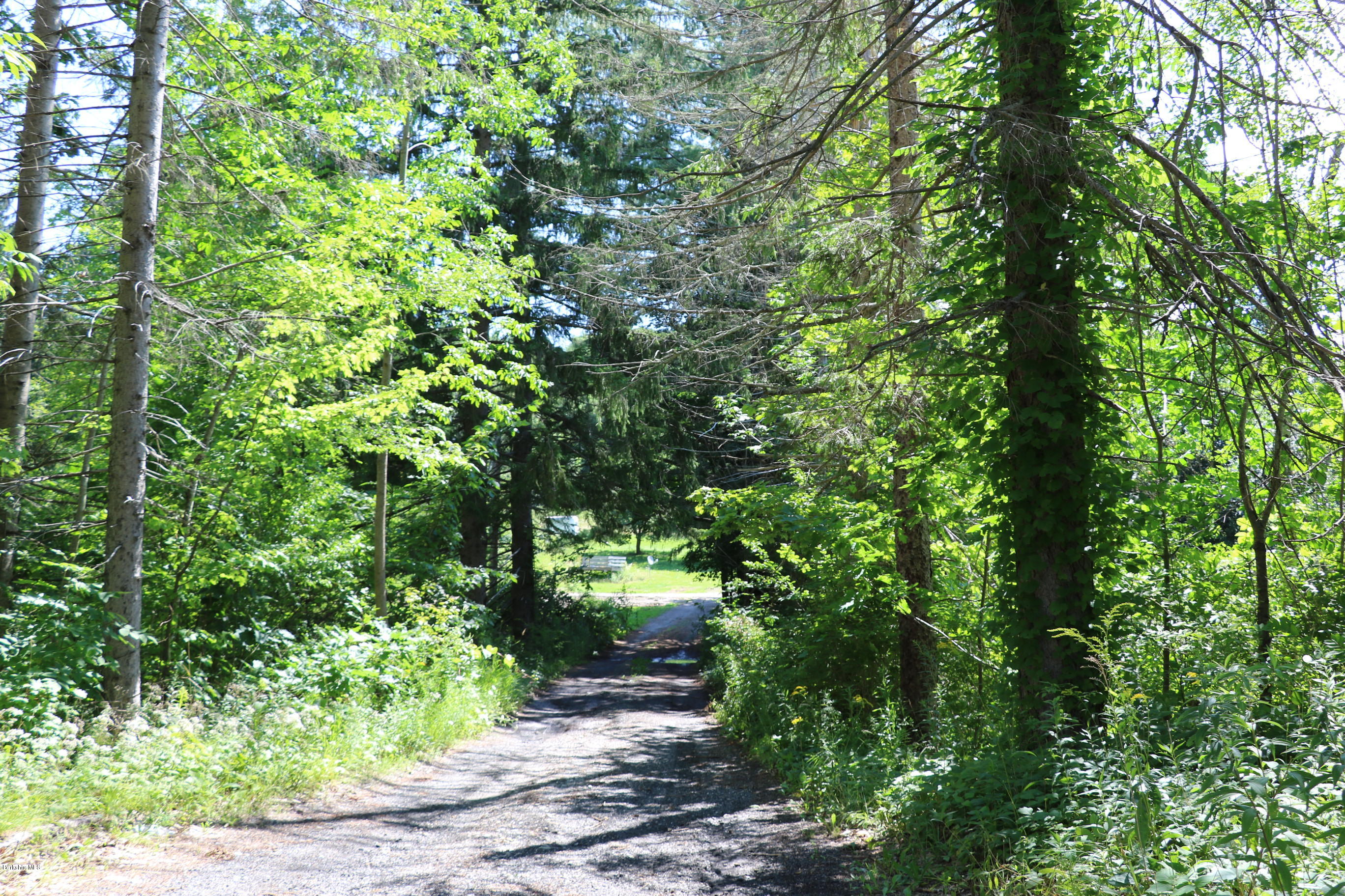 1382 Cold Spring Road Williamstown, MA 01267 - Photo 3 of 7 Driveway