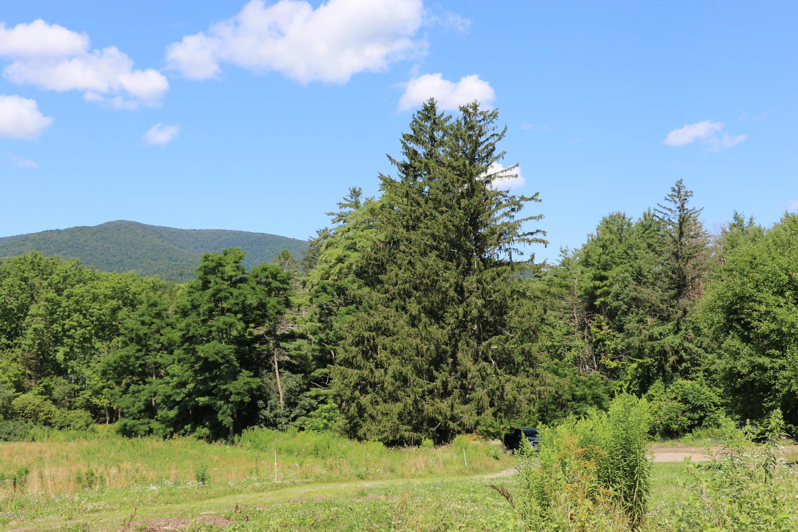 1382 Cold Spring Road Williamstown, MA 01267 - Photo 4 of 7 Tanconic Moutain range