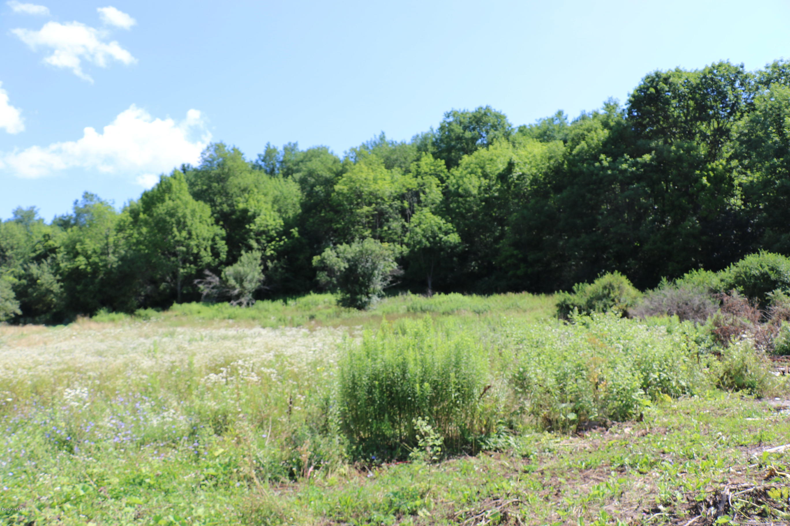 1382 Cold Spring Road Williamstown, MA 01267 - Photo 5 of 7 One of many build sites