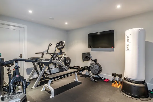 a view of a park with large trees