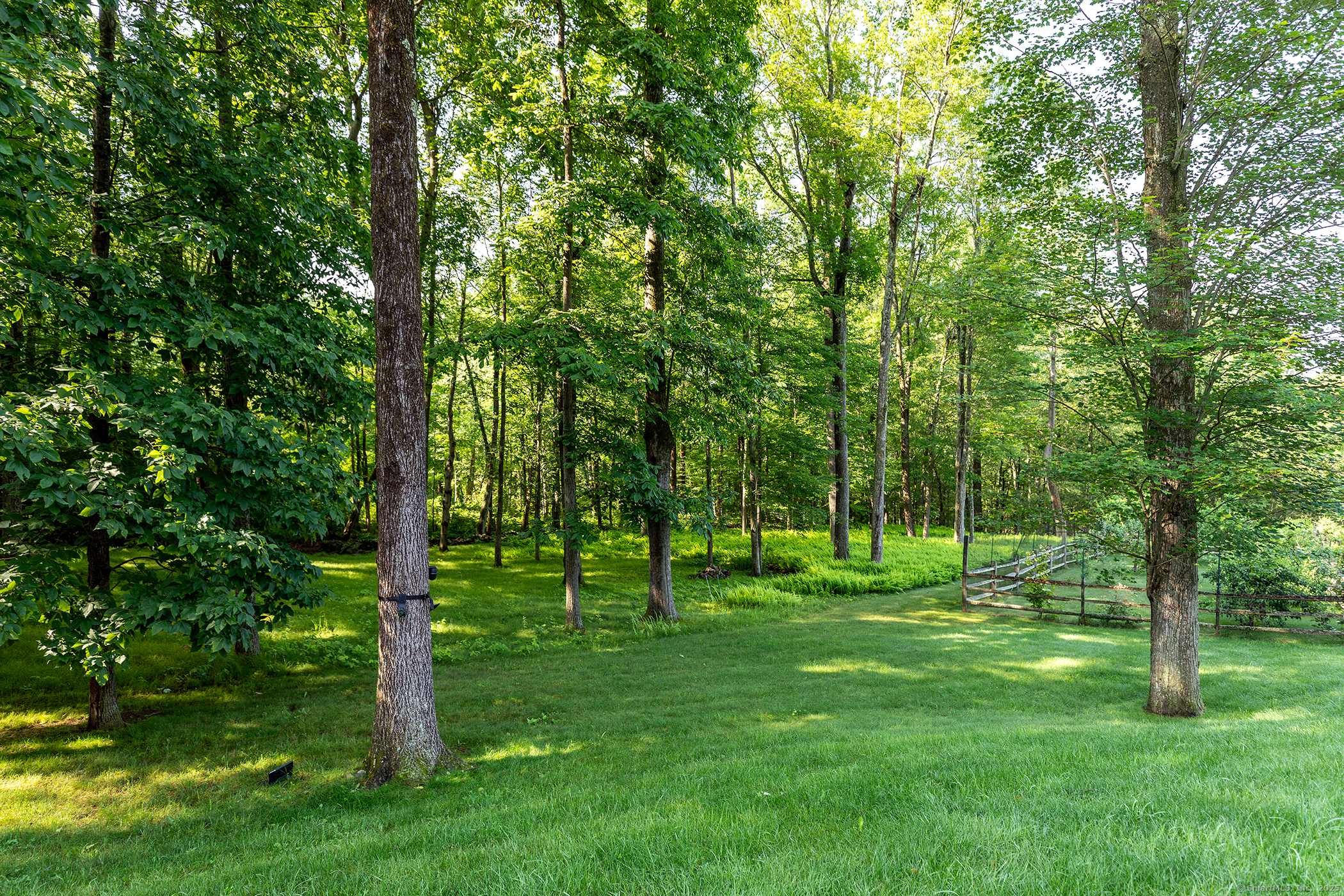85 West Church Hill Road Washington, CT 06794 - Photo 38 of 38 a view of a park with large trees