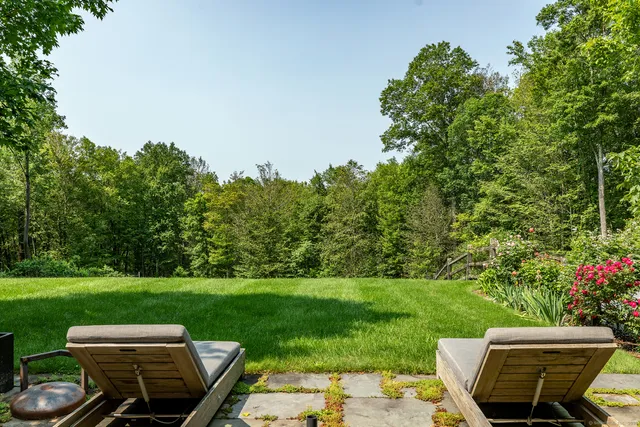 a view of a backyard with plants and a garden