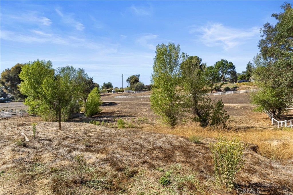 30770 Avenida Buena Suerte Temecula, CA 92591 - Photo 22 of 24 a view of a yard with plants and trees