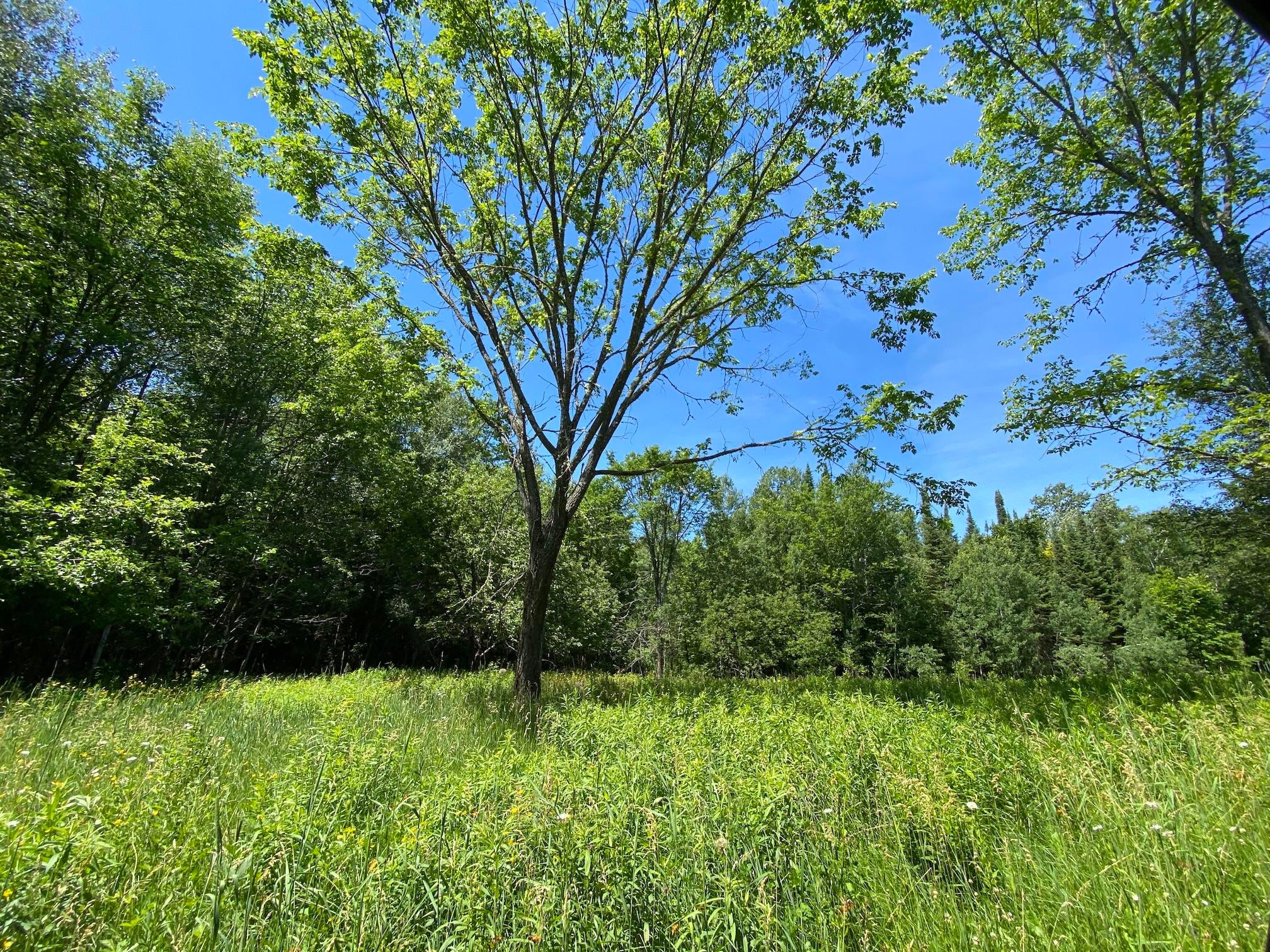 9977 South North Hulbert Road Hulbert, MI 49748 - Photo 56 of 60 Gallery Image 56
