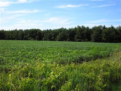 1 East Shawnee Road Baroda, MI 49101 - Photo 1 of 1 Primary Photo