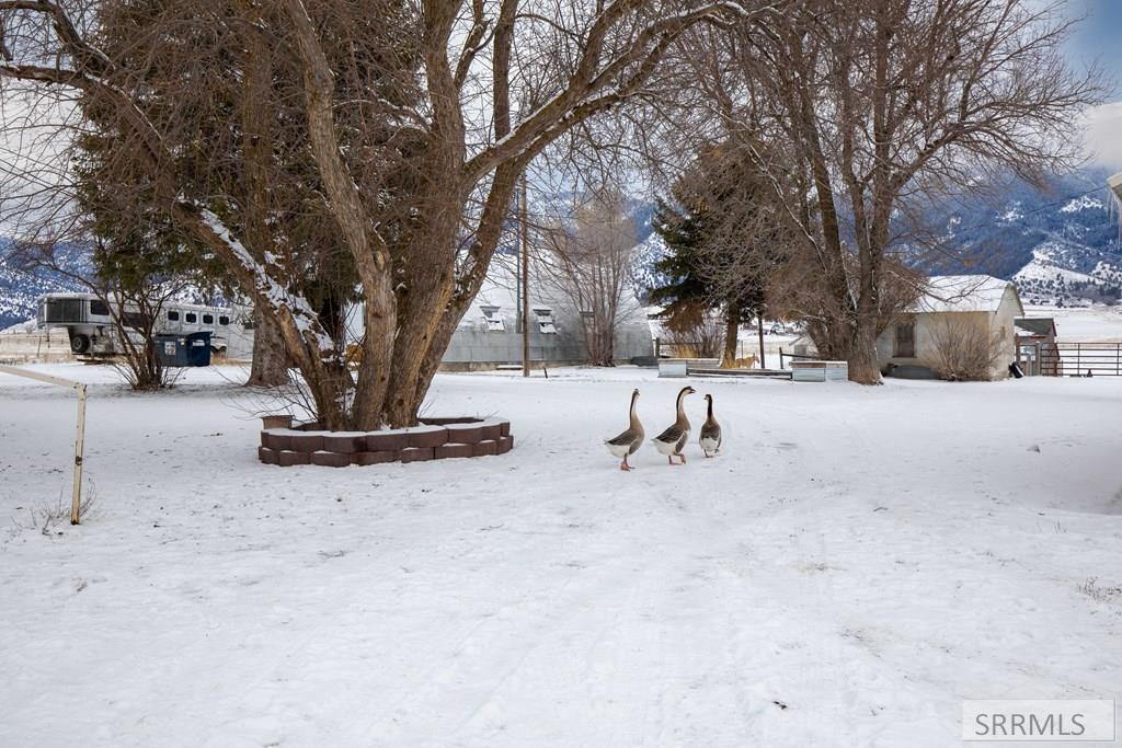 2226 Irwin N Road Irwin, ID 83428 - Photo 41 of 46