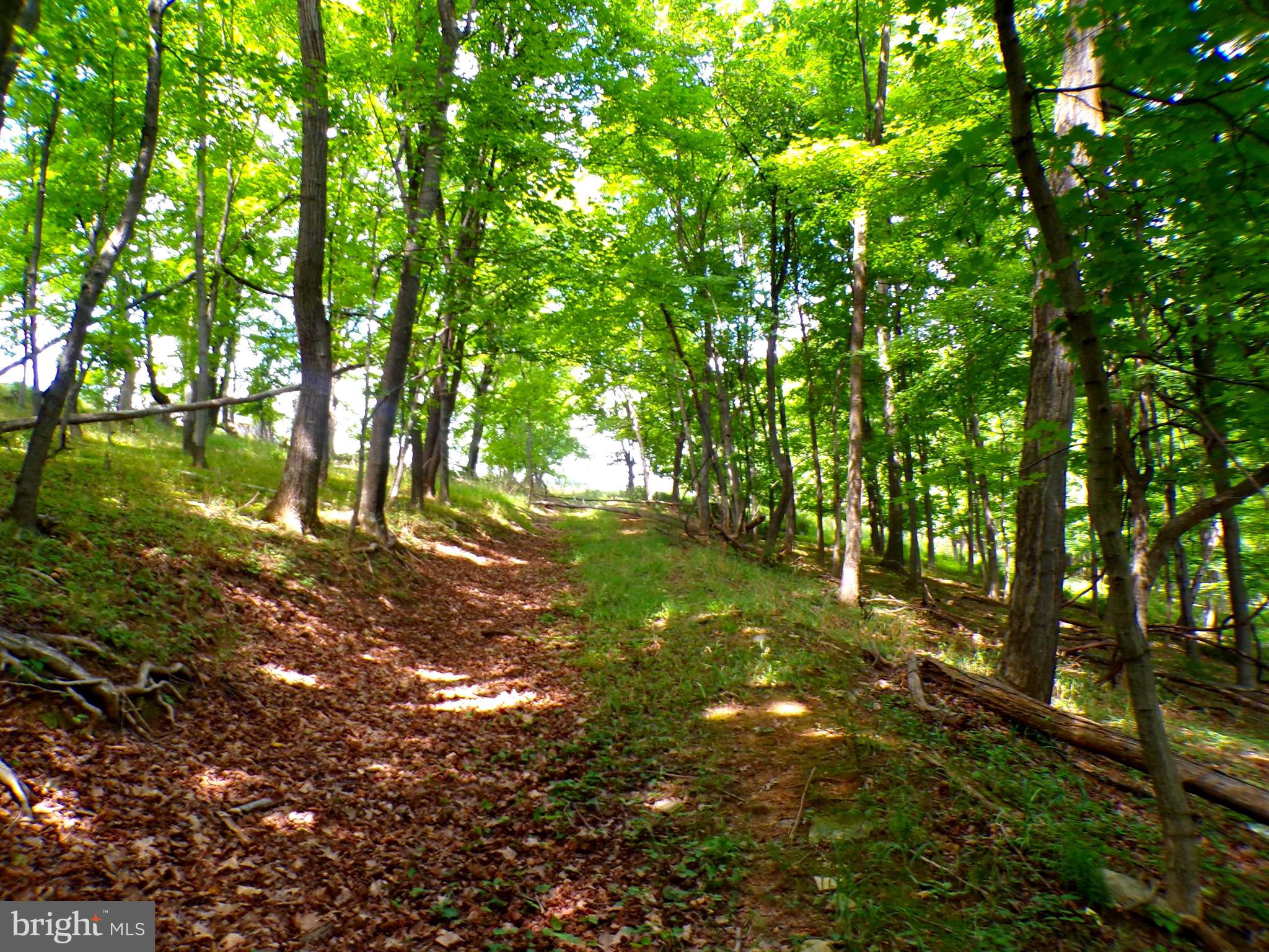 10.1 Waxler Road Keyser, WV 26726 - Photo 6 of 9 Gallery Image 6