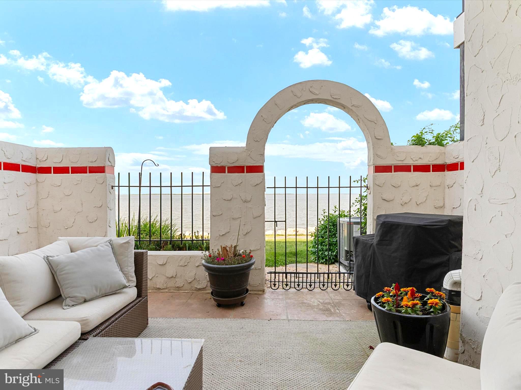 32 Queen Anne Way Chester, MD 21619 - Photo 16 of 61 a living room with furniture a fireplace and a potted plant