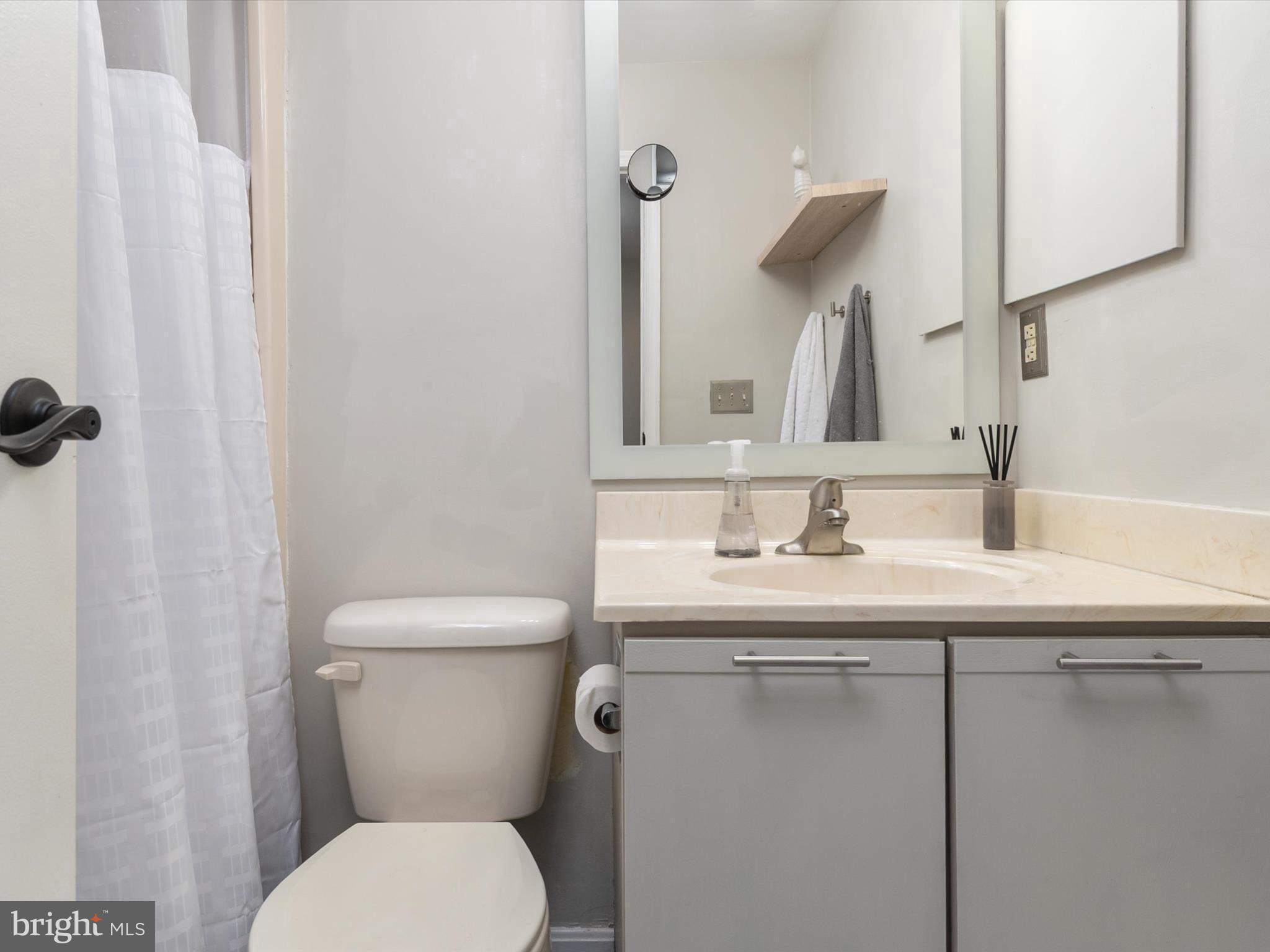 32 Queen Anne Way Chester, MD 21619 - Photo 30 of 61 a bathroom with a toilet sink and mirror