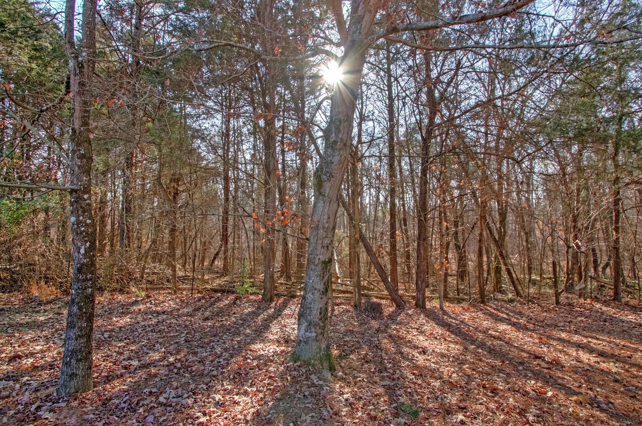 215 West Biggs Road Cottontown, TN 37048 - Photo 30 of 30 Gallery Image 30