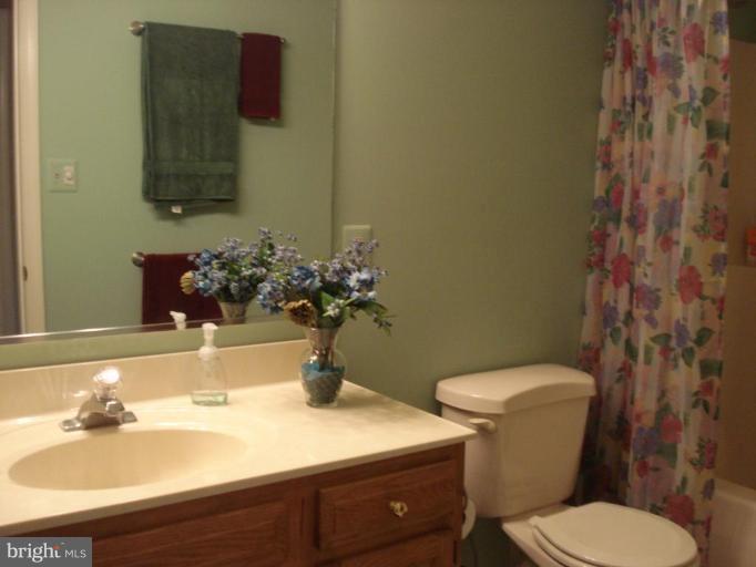 12629 Manor Road Glen Arm, MD 21057 - Photo 15 of 30 Bath #2