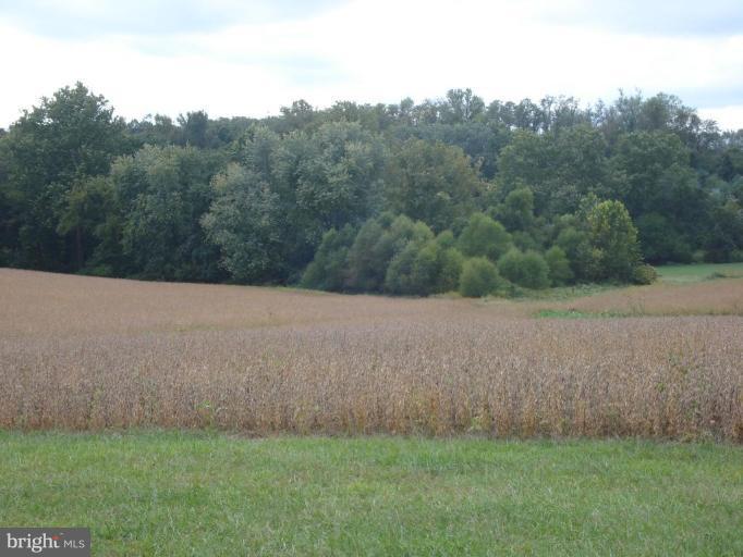 12629 Manor Road Glen Arm, MD 21057 - Photo 23 of 30 Wooded View / Acreage