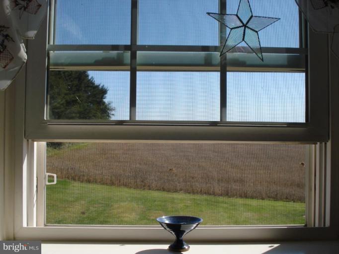 12629 Manor Road Glen Arm, MD 21057 - Photo 27 of 30 View From Kitchen Window