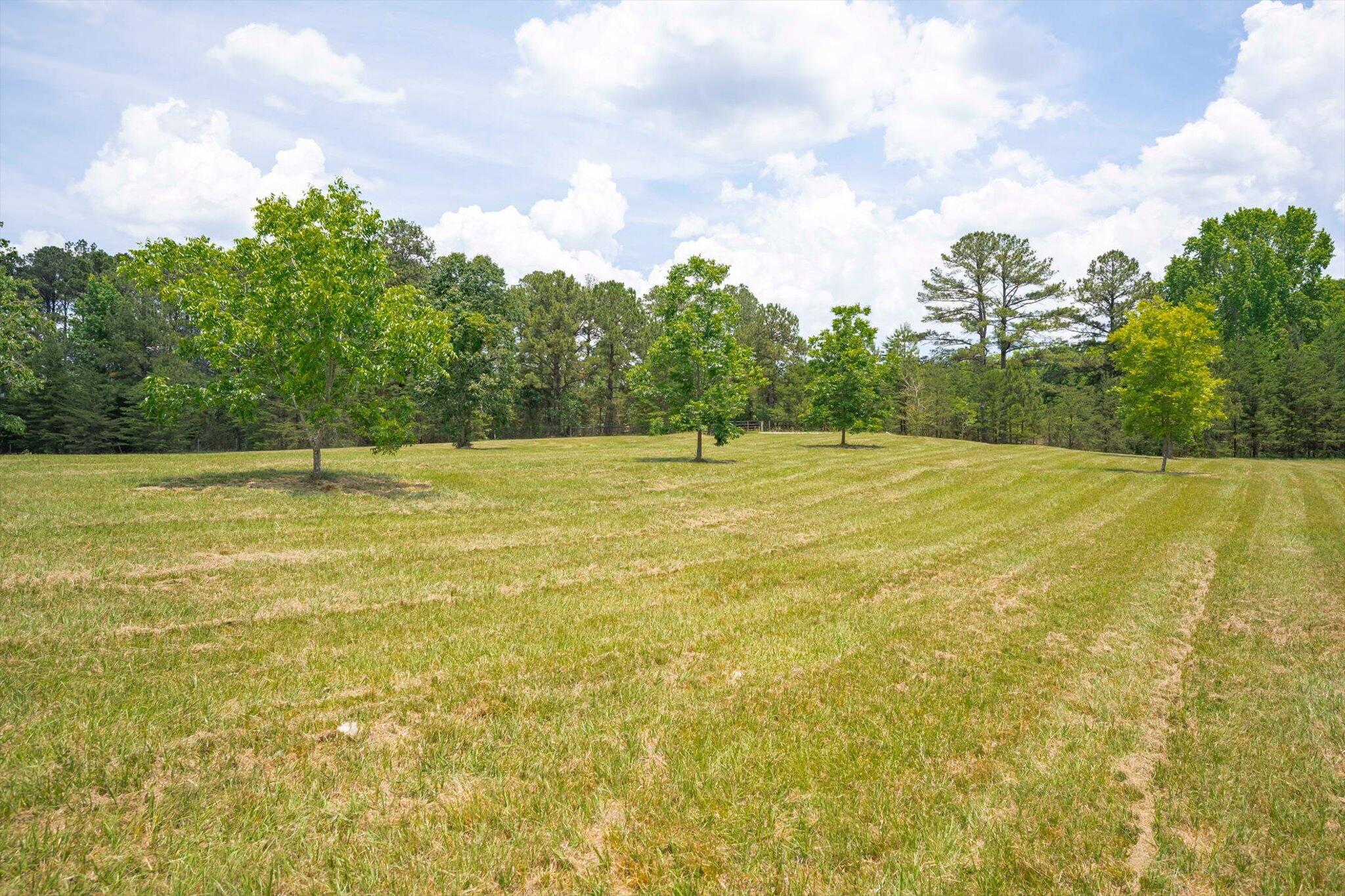 153 Barksdale Ferry Road McCormick, SC 29835 - Photo 69 of 90