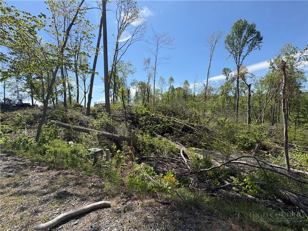 Lot #41 Lost Ridge Trail Vilas, NC 28692 - Photo 6 of 8