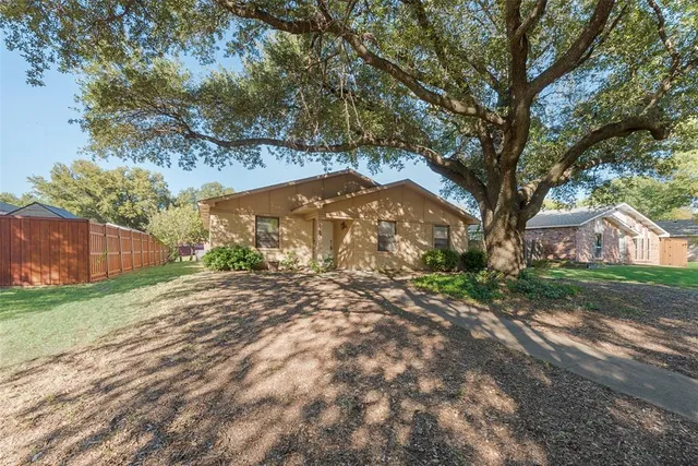 a view of a yard with a large tree