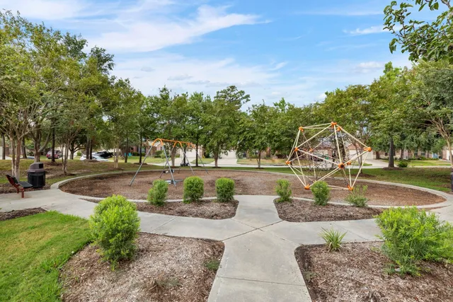 a view of a park with large trees